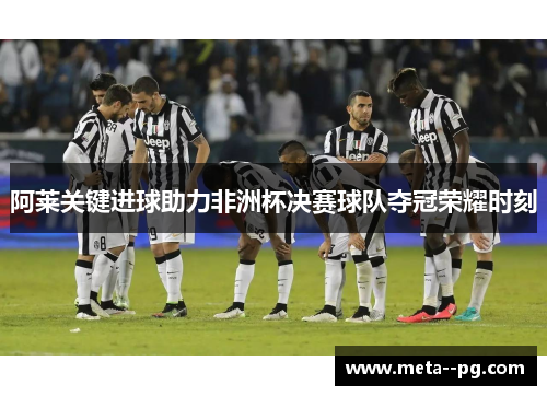 阿莱关键进球助力非洲杯决赛球队夺冠荣耀时刻