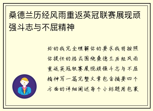 桑德兰历经风雨重返英冠联赛展现顽强斗志与不屈精神